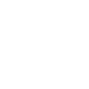 Courage icon